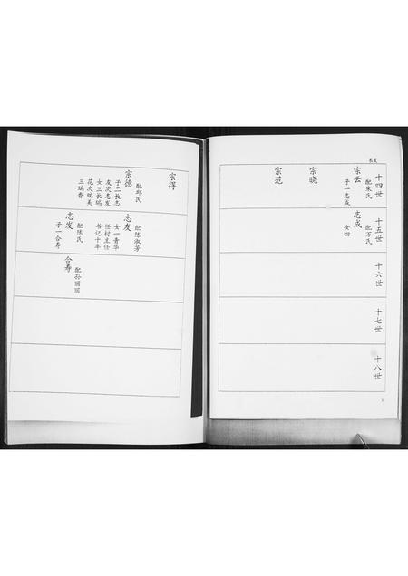 山东巩氏-巩氏族谱志.pdf电子版插图3
