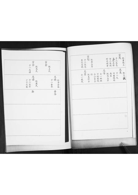 山东巩氏-巩氏族谱志.pdf电子版插图5