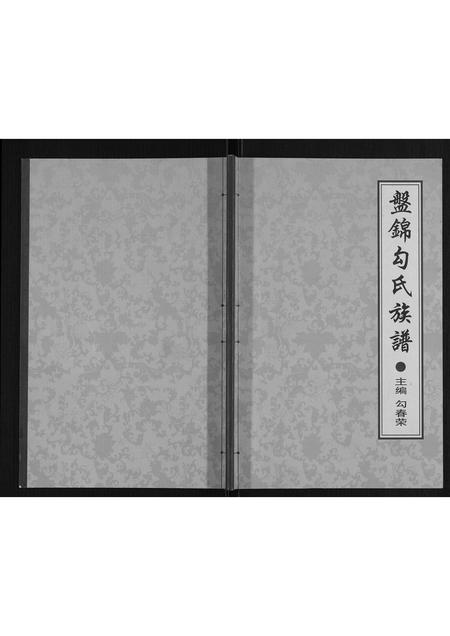 辽宁勾氏-盘锦勾氏族谱.pdf电子版插图