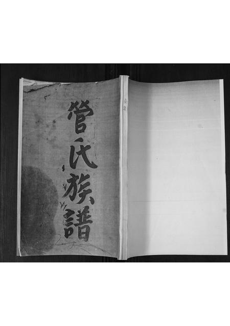 山东管氏-管氏族谱.pdf电子版插图