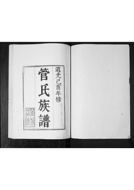 山东管氏-管氏族谱.pdf电子版插图1