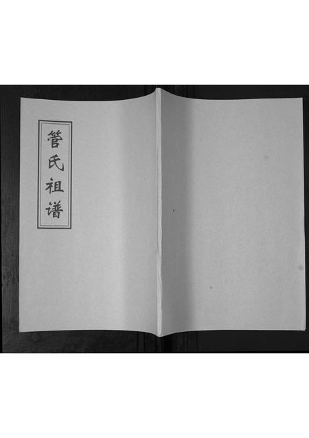 山东管氏-管氏族谱[不分卷].pdf电子版插图