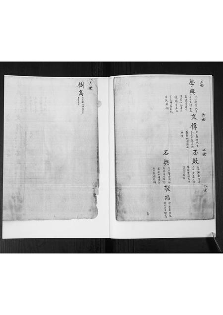 山东管氏-管氏族谱[不分卷].pdf电子版插图3
