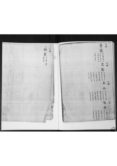 山东管氏-管氏族谱[不分卷].pdf电子版插图4