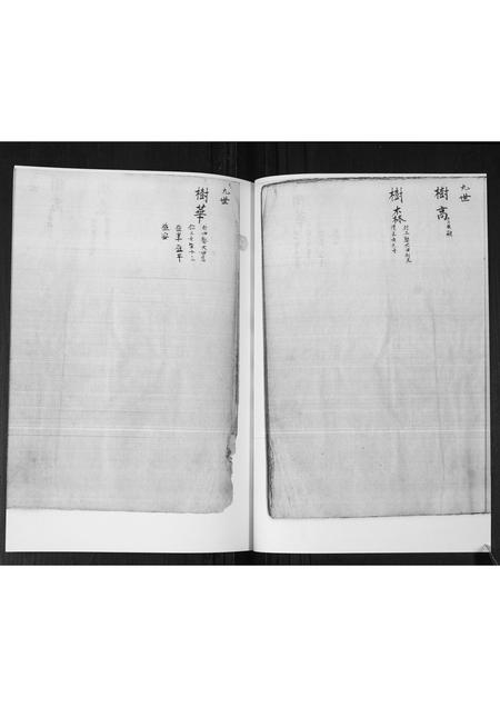 山东管氏-管氏族谱[不分卷].pdf电子版插图5