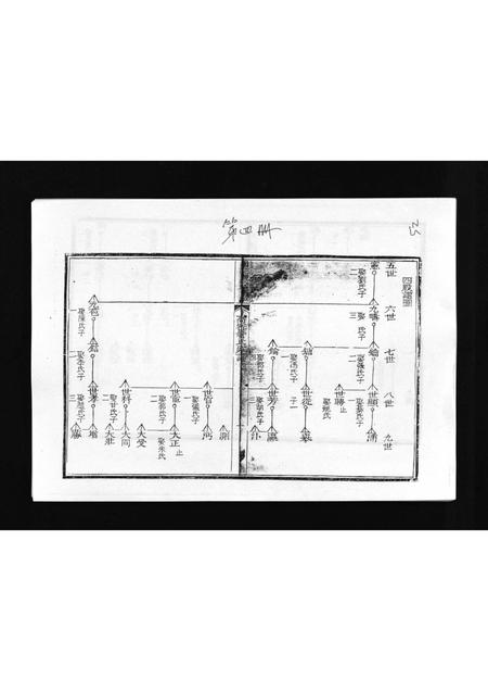 山东管氏-高密管氏家谱 [不分卷](别名：Gaomi Guan Shi Jia Pu).pdf电子版插图1