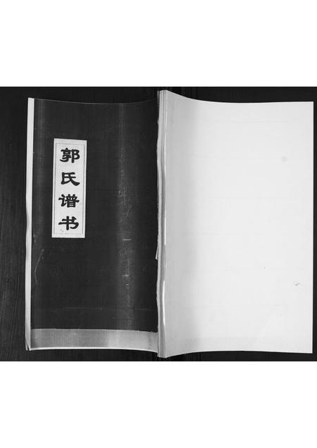 山东郭氏-郭氏族谱.pdf电子版插图 山东郭氏-郭氏族谱.pdf电子版插图