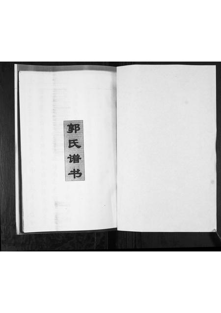 山东郭氏-郭氏族谱.pdf电子版插图1 山东郭氏-郭氏族谱.pdf电子版插图1