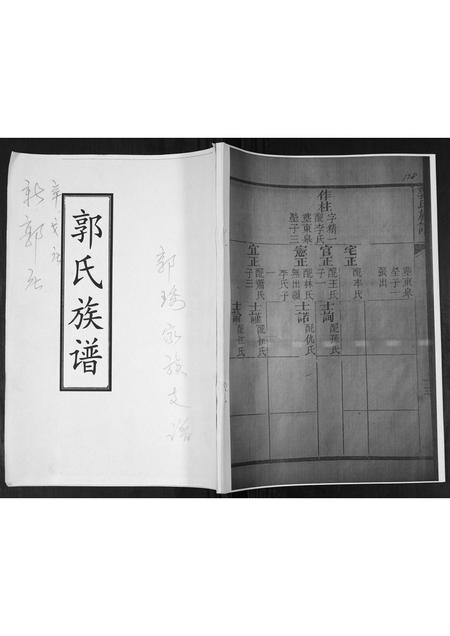山东郭氏-郭氏族谱.pdf电子版插图 山东郭氏-郭氏族谱.pdf电子版插图