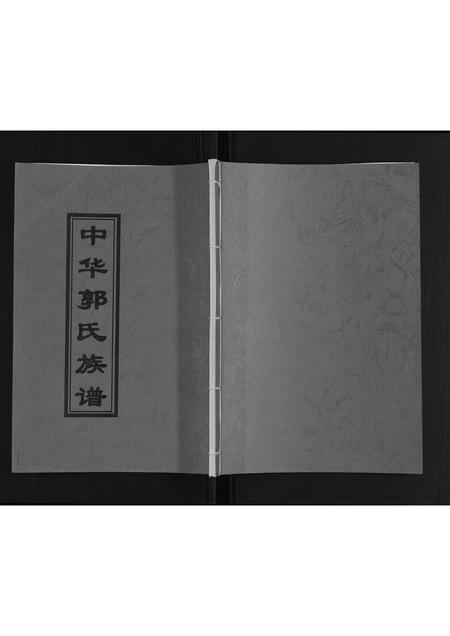 山东郭氏-郭氏族谱.pdf电子版插图 山东郭氏-郭氏族谱.pdf电子版插图