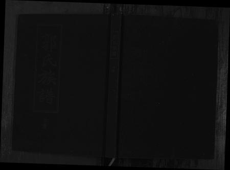 山东郭氏-郭氏族谱 [2册](别名：Guo Shi Zu Pu).pdf电子版插图