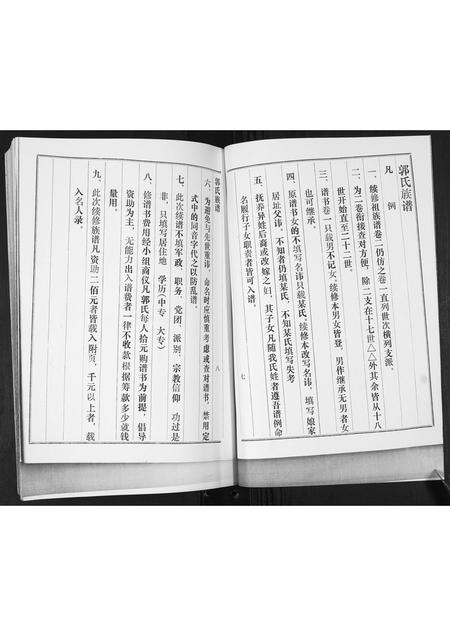 山东郭氏-郭氏族谱[2卷].pdf电子版插图5