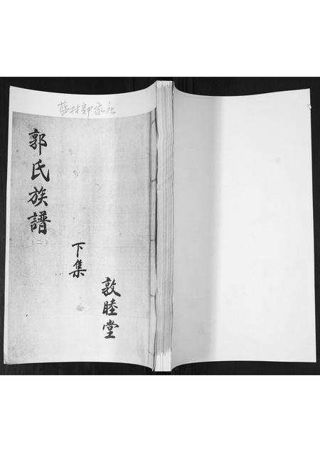 山东郭氏-郭氏族谱[上下集].pdf电子版插图