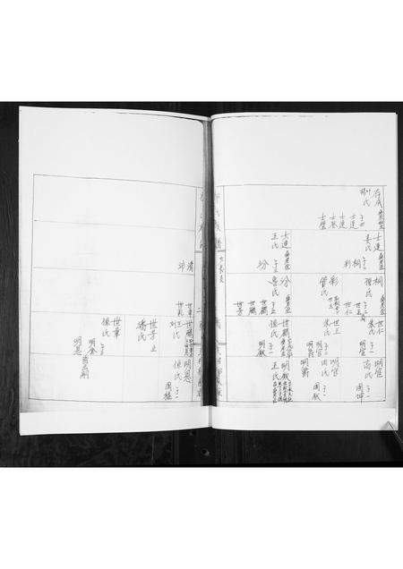 山东郭氏-郭氏族谱[上下集].pdf电子版插图4