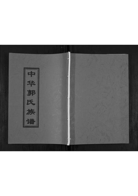 山东郭氏-郭氏族谱[不分卷].pdf电子版插图
