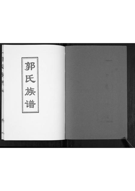 山东郭氏-郭氏族谱[不分卷].pdf电子版插图1