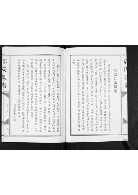 山东郭氏-郭氏族谱[不分卷].pdf电子版插图5