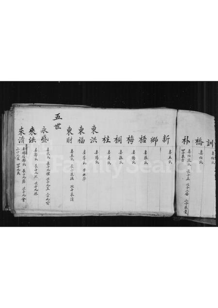 山西郭氏-郭氏族谱.pdf电子版插图4