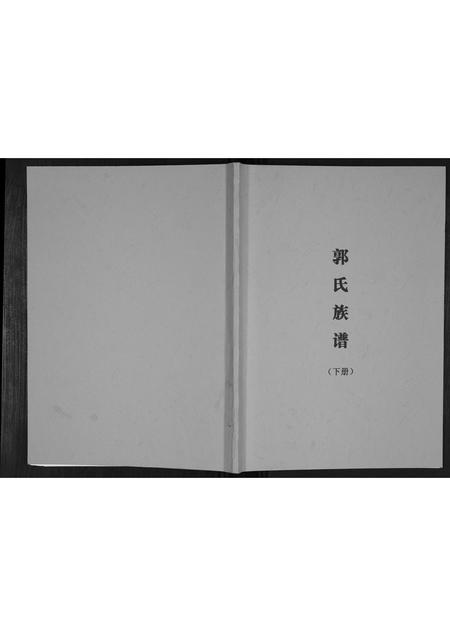 广西郭氏-郭氏族谱.pdf电子版插图