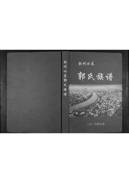 广西郭氏-郭氏族谱.pdf电子版插图