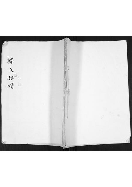 山东韩氏-韩氏支谱.pdf电子版插图 山东韩氏-韩氏支谱.pdf电子版插图