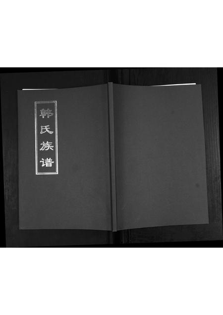 山东韩氏-韩氏族谱.pdf电子版