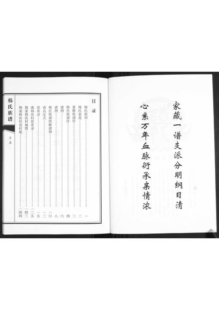 山东韩氏-韩氏族谱.pdf电子版插图3