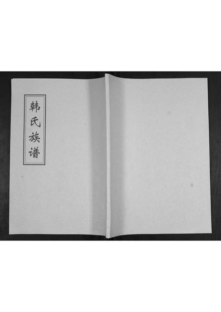山东韩氏-韩氏族谱.pdf电子版