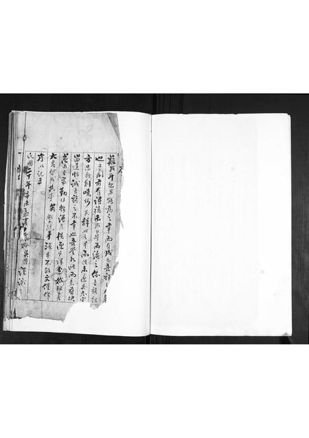 山东韩氏-韩氏族谱.pdf电子版插图2