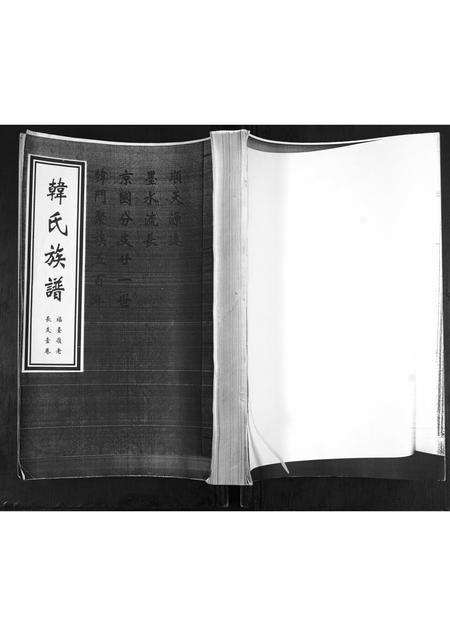 山东韩氏-韩氏族谱.福台岭老长支.pdf电子版