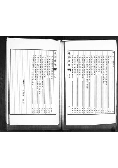 山东韩氏-韩氏族谱.福台岭老长支.pdf电子版插图2