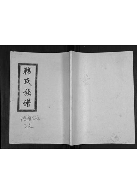 山东韩氏-韩氏族谱[2卷].pdf电子版