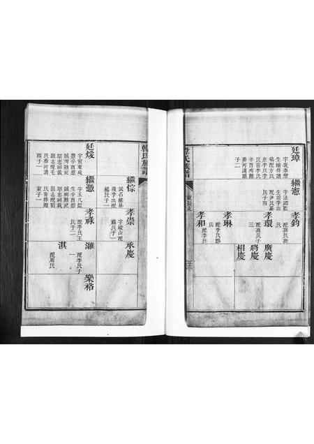 山东韩氏-韩氏族谱[2卷].pdf电子版插图4