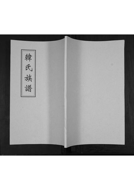 山东韩氏-韩氏族谱[不分卷].pdf电子版