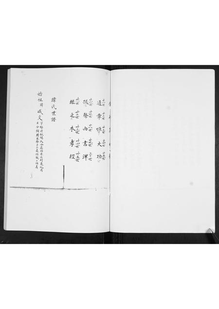 山东韩氏-韩氏本支谱书.pdf电子版插图4 山东韩氏-韩氏本支谱书.pdf电子版插图4
