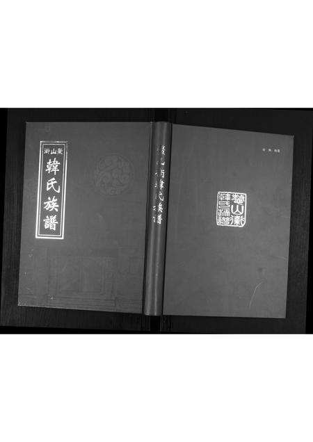 山东韩氏-鳌山卫韩氏族谱.pdf电子版