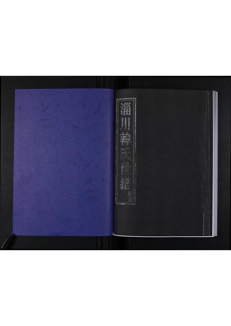 山东韩氏-淄川韩氏世谱 [不分卷](别名：淄川韩氏十修族谱附谱).pdf电子版插图1