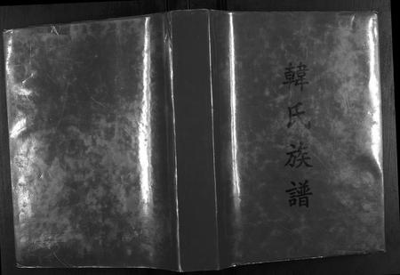 广西韩氏-韩氏族谱.pdf电子版