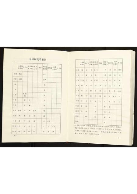 山东阚氏-无棣阚氏族谱.pdf电子版插图5