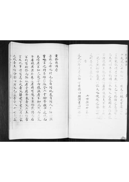 山东郝氏-郝氏族谱.pdf电子版插图2