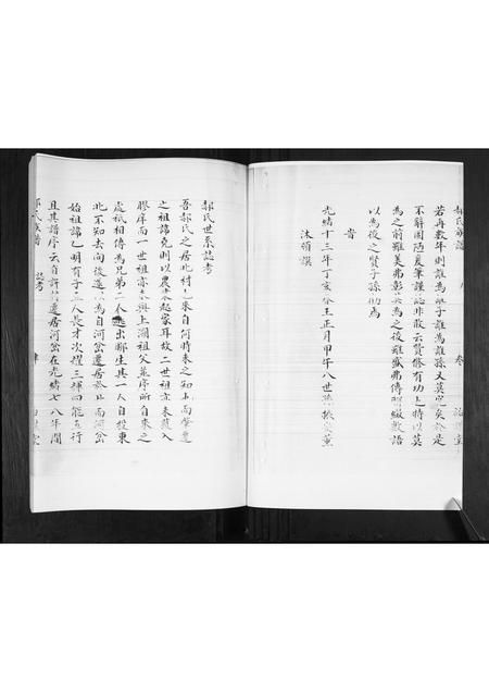 山东郝氏-郝氏族谱.pdf电子版插图3