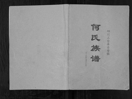 四川何氏-何氏族谱[不分卷].pdf电子版插图