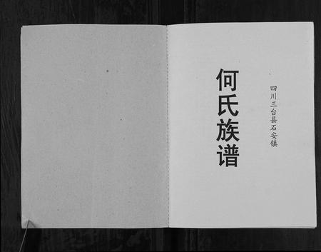 四川何氏-何氏族谱[不分卷].pdf电子版插图1
