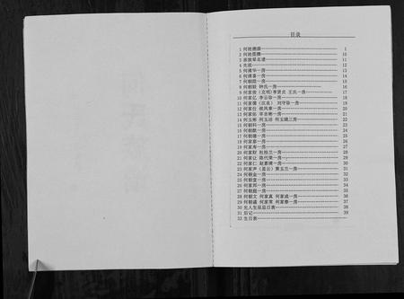 四川何氏-何氏族谱[不分卷].pdf电子版插图2