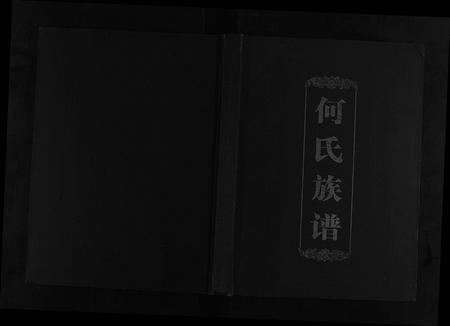 四川何氏-何氏族谱[不分卷].pdf电子版插图