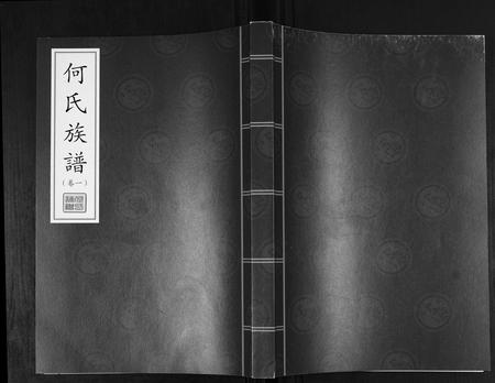 山东何氏-何氏族谱[3卷].pdf电子版插图