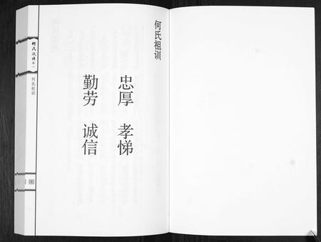 山东何氏-何氏族谱[3卷].pdf电子版插图1
