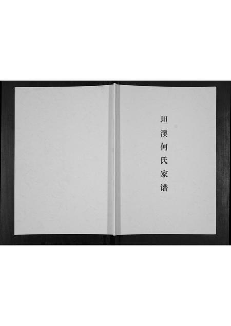 广西何氏-坦溪何氏家谱[不分卷].pdf电子版插图