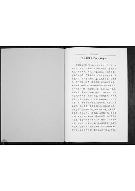 广西何氏-坦溪何氏家谱[不分卷].pdf电子版插图1