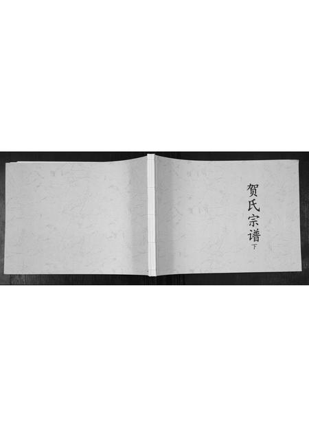 山东贺氏-贺氏宗谱[2册].pdf电子版插图